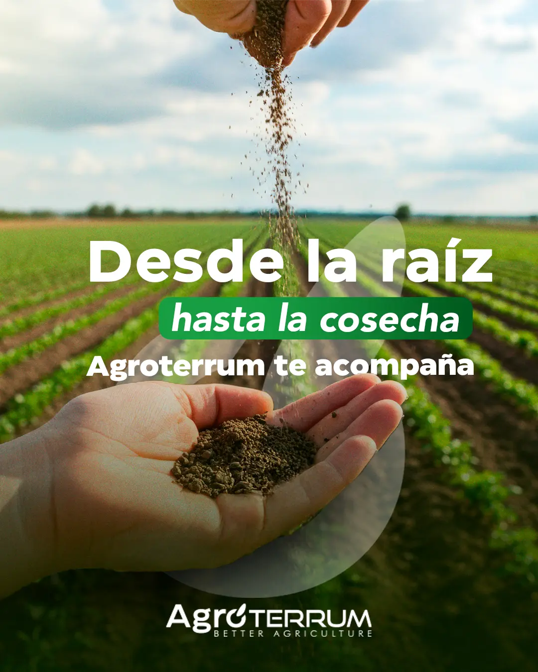 AGROTERRUM 3