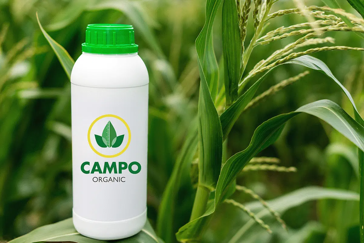 CAMPO ORGANIC 5