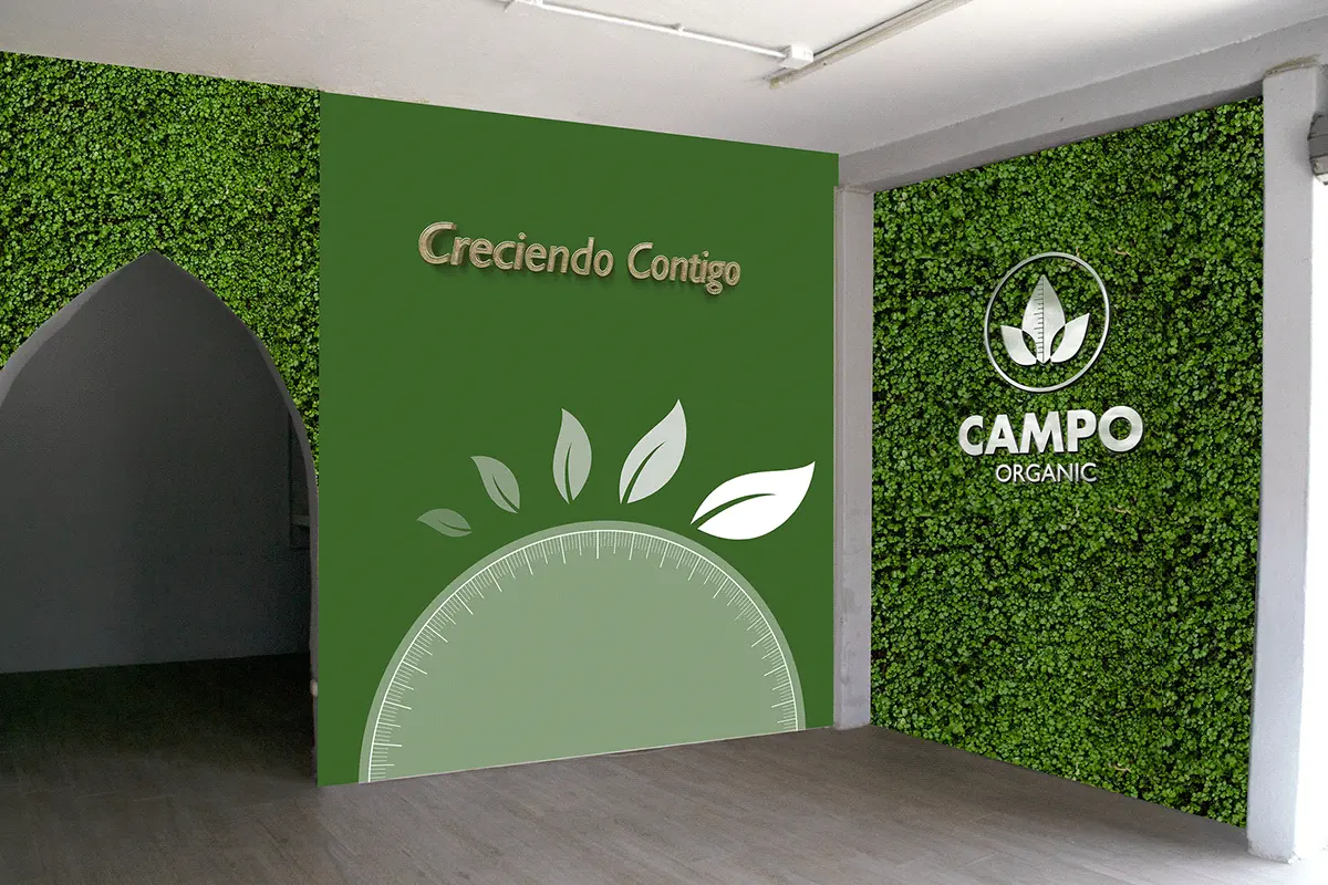 CAMPO ORGANIC 6
