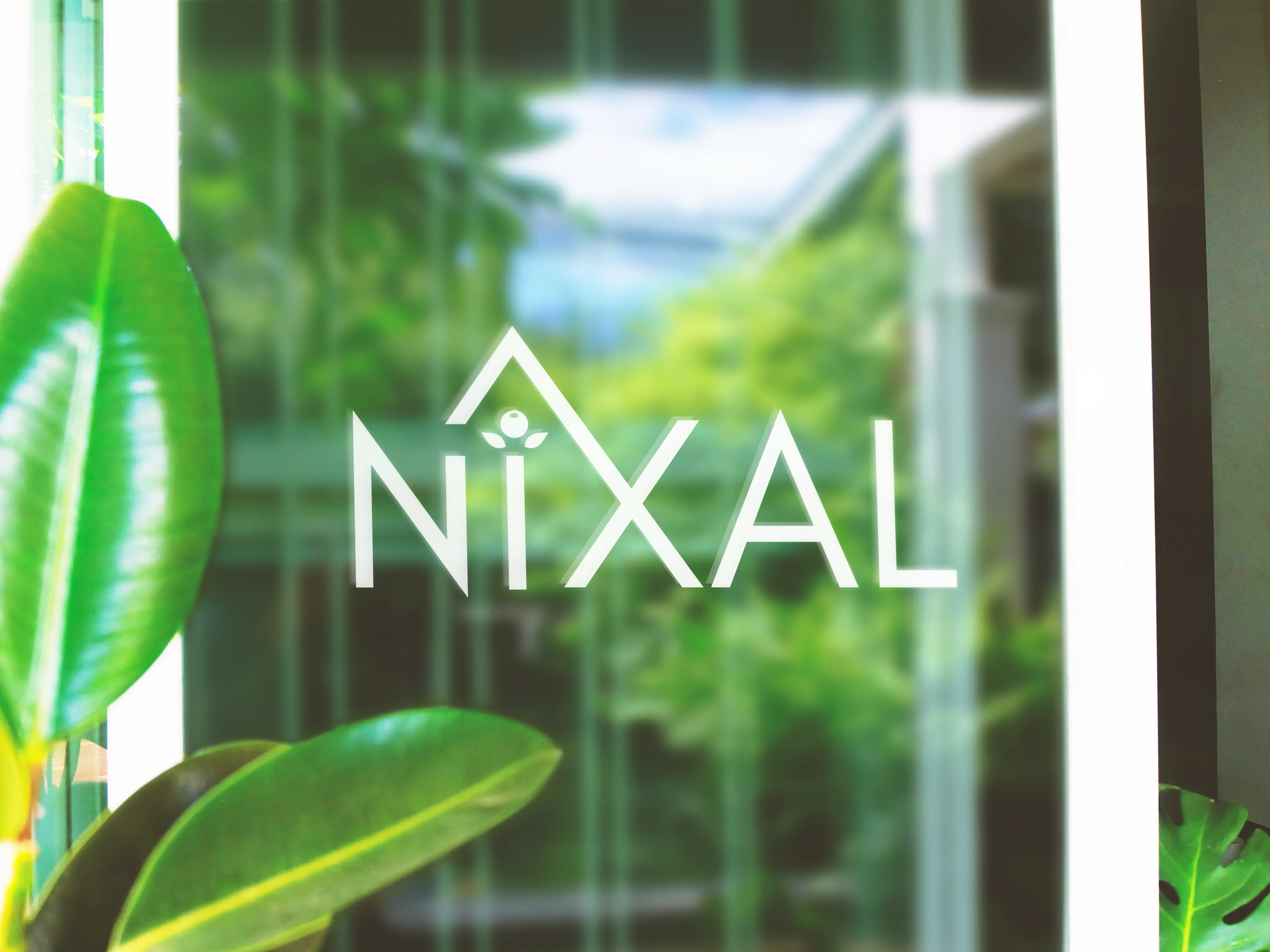 NIXAL 4