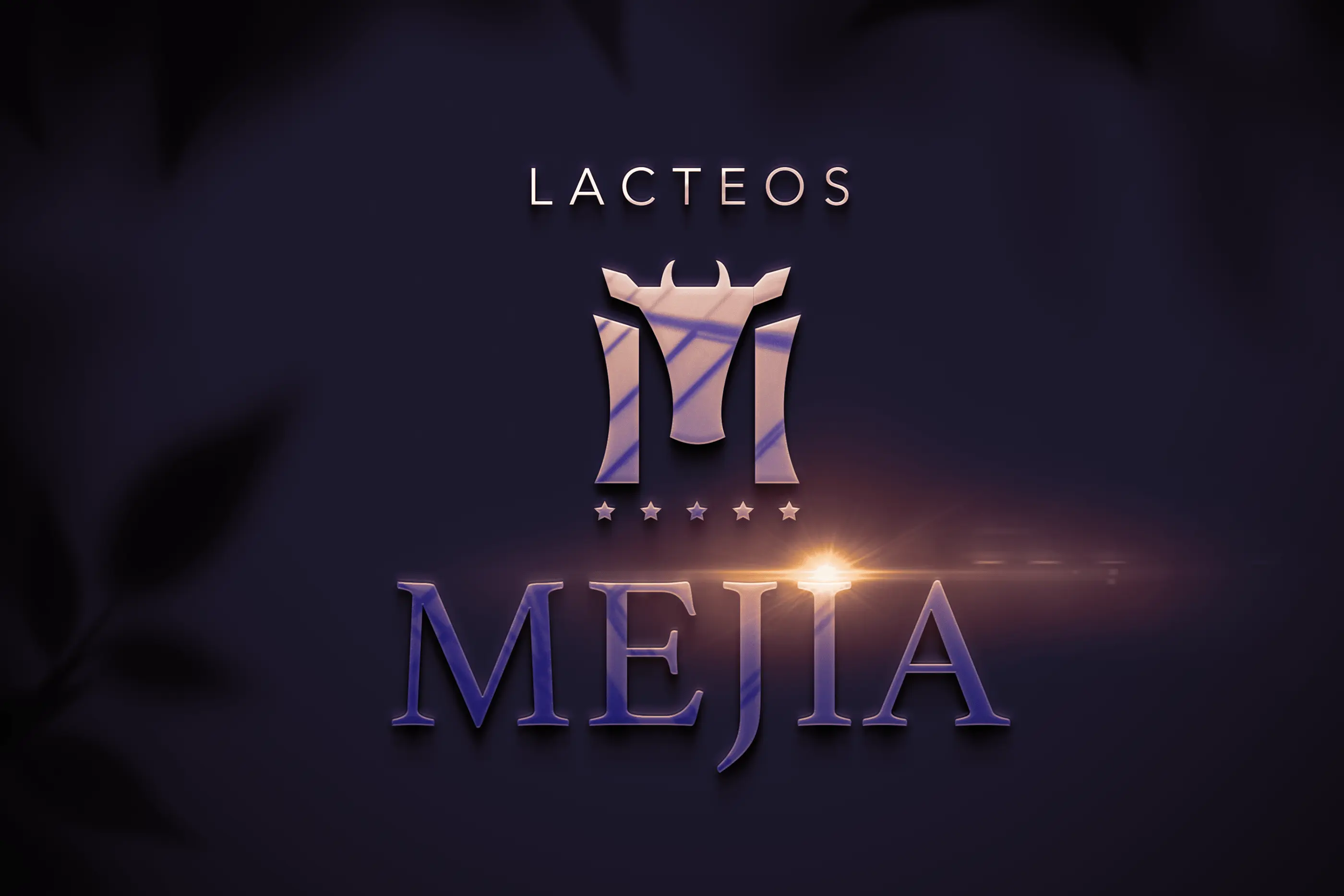 LACTEOS MEJIA