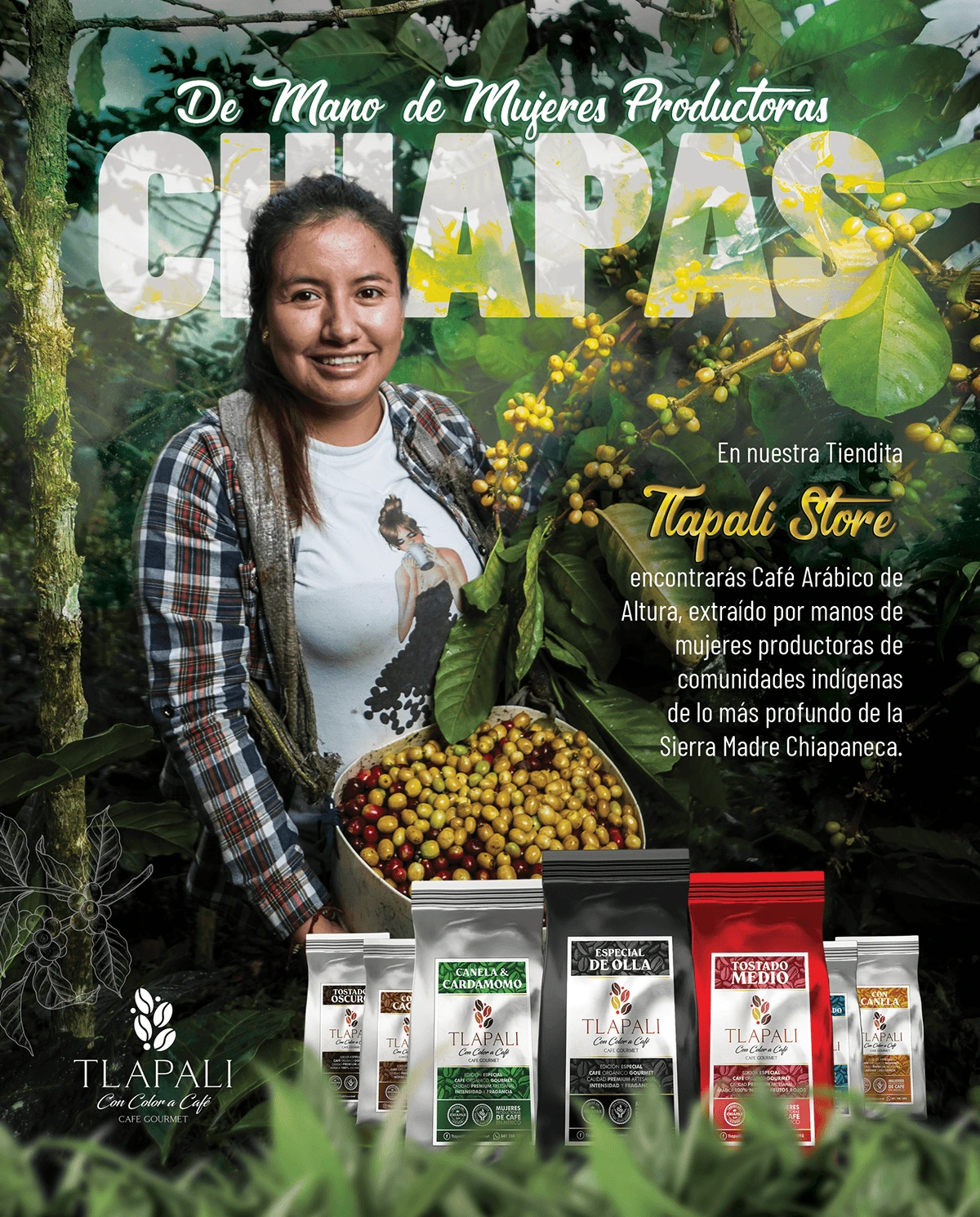 TLAPALI 6